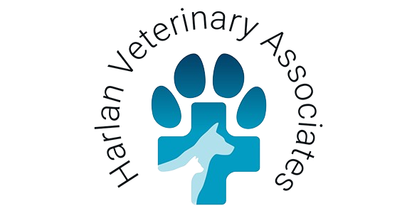Harlan Veterinary Associates & Referral Center