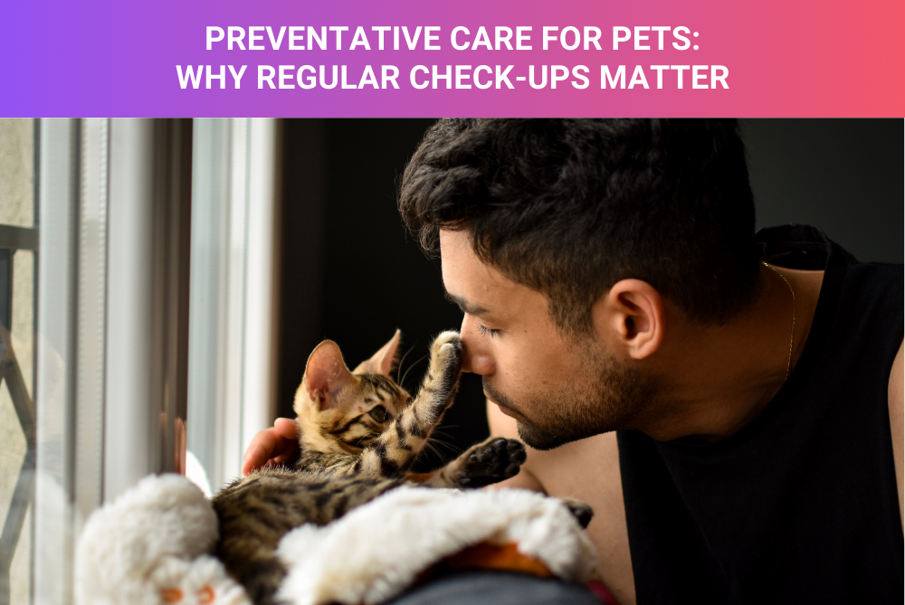 Preventative Care for Pets Why Regular Check-Ups Matter